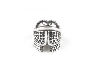 Ring CC105M